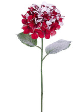 Load image into Gallery viewer, Snow Red