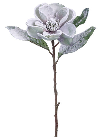 Snow Lavender