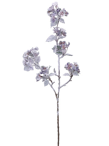 Snow Lavender
