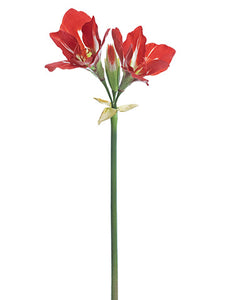 27" Amaryllis Spray  Red White (pack of 6)