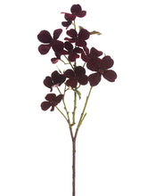 Load image into Gallery viewer, Burgundy