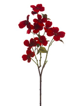 Load image into Gallery viewer, Red