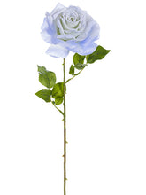 Load image into Gallery viewer, Blue White