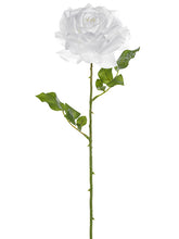 Load image into Gallery viewer, White