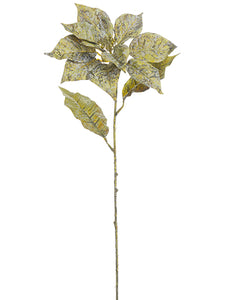 Antique Gold