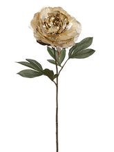 Load image into Gallery viewer, Gold