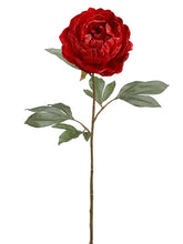 Load image into Gallery viewer, Red