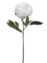 Load image into Gallery viewer, White