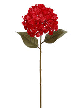 Load image into Gallery viewer, Red