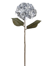 Load image into Gallery viewer, Silver