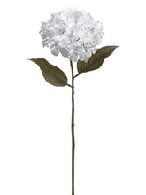 Load image into Gallery viewer, White