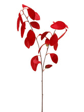 Load image into Gallery viewer, Red