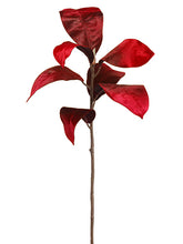 Load image into Gallery viewer, Burgundy