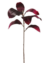 Load image into Gallery viewer, Purple