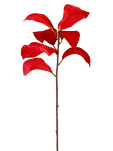 Load image into Gallery viewer, Red
