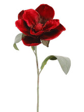 Load image into Gallery viewer, Burgundy