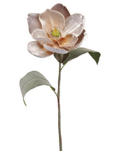 Load image into Gallery viewer, Gray Silver