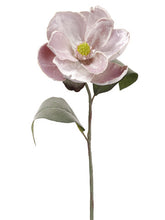 Load image into Gallery viewer, Lavender
