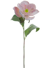 Load image into Gallery viewer, Mauve