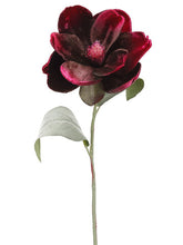 Load image into Gallery viewer, Purple