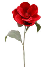 Load image into Gallery viewer, Red