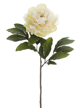 Load image into Gallery viewer, Beige Ice