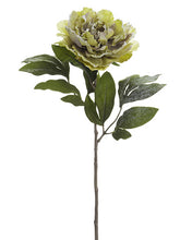 Load image into Gallery viewer, Green Ice