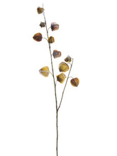 Load image into Gallery viewer, Brown Ice