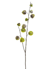 Load image into Gallery viewer, Green Ice