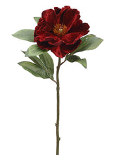 Load image into Gallery viewer, Burgundy
