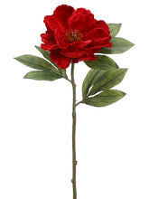 Load image into Gallery viewer, Red