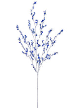 Load image into Gallery viewer, Blue