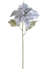 Load image into Gallery viewer, Silver