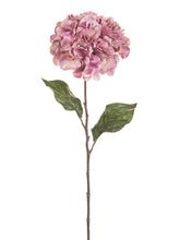 Load image into Gallery viewer, Pink