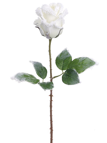 21