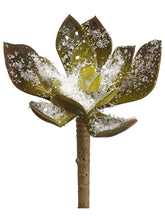 Load image into Gallery viewer, Brown Green