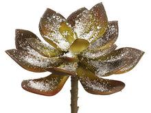 Load image into Gallery viewer, Brown Green