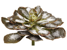 Load image into Gallery viewer, Brown Green