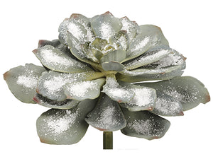 Green Gray