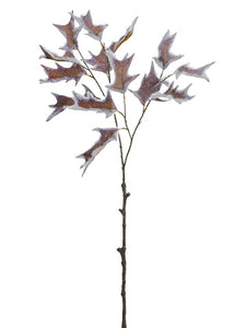 Brown Ice