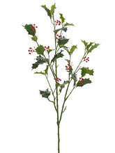 Load image into Gallery viewer, Red Green