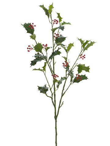 Red Green