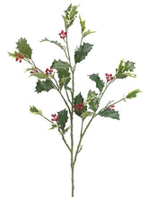 Load image into Gallery viewer, Variegated Red