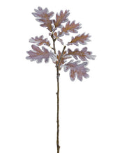 Load image into Gallery viewer, Brown Ice