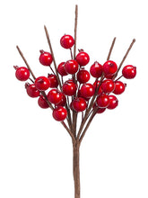 Load image into Gallery viewer, Shinny Red