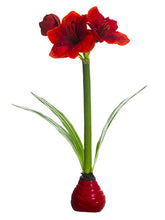 Load image into Gallery viewer, Two Tone Red