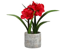 Load image into Gallery viewer, Red