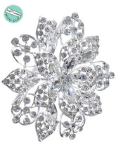 Load image into Gallery viewer, Clear