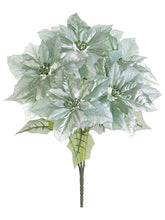 Load image into Gallery viewer, Metallic Aqua