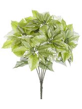 Load image into Gallery viewer, Metallic Green